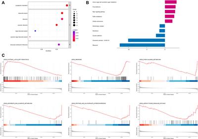 A circadian rhythm-related gene signature for prognosis, invasion and immune microenvironment of breast cancer